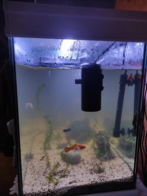 Aquarium Aquatlantis 200 litres