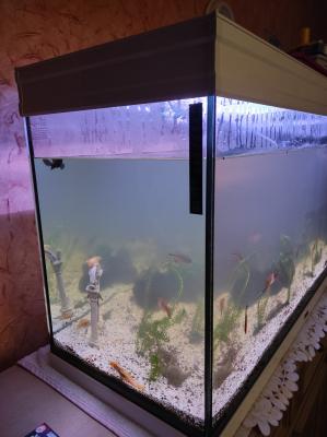 Aquarium Aquatlantis 200 litres