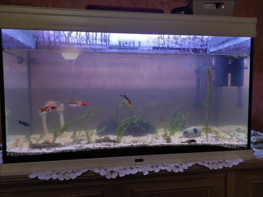 Aquarium Aquatlantis 200 litres