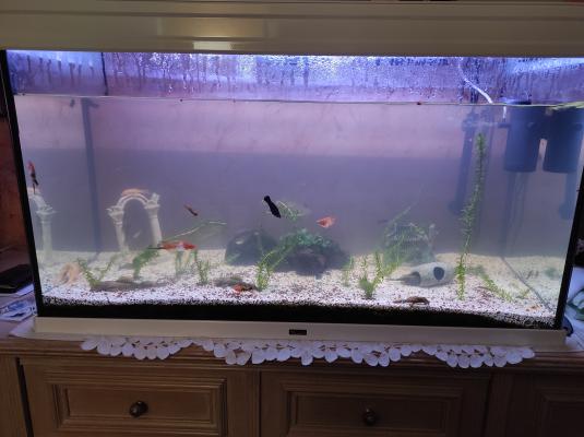 Aquarium Aquatlantis 200 litres