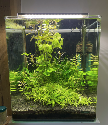 Aquarium Dennerle cube 30L