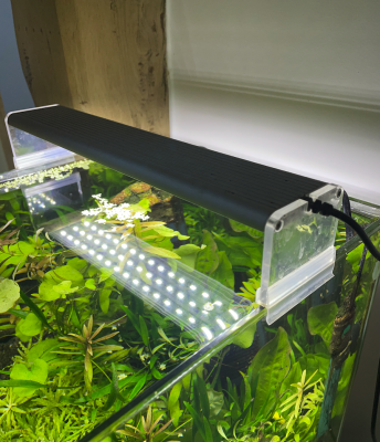 Aquarium Dennerle cube 30L