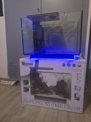 Aquarium
