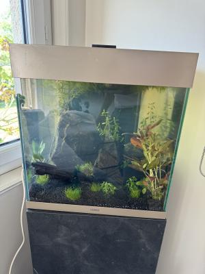 Aquarium Ciano émotions pro 40 + meuble ciano