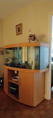 AV aquarium juwel 450 avec son meuble coueur hêtre + nbrx accessoires