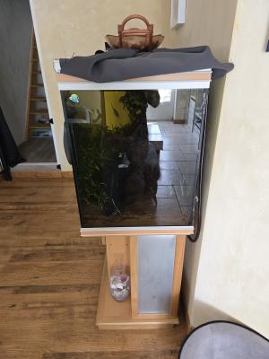 Aquarium 500l + meuble + pompes + poissons...