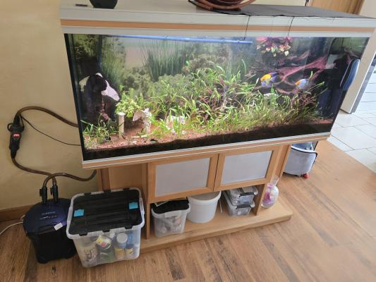 Aquarium 500l + meuble + pompes + poissons...