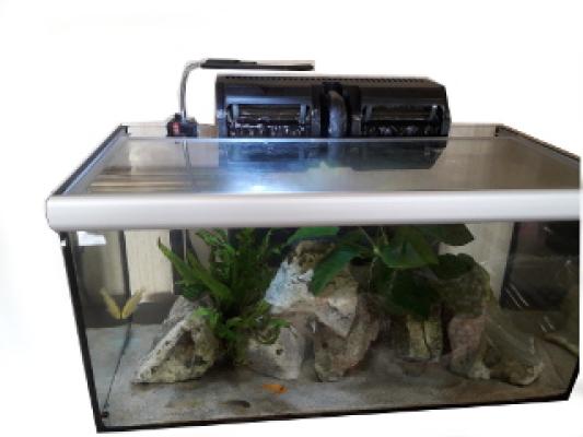 Filtre Cascade Neuf 1100 l/h reglable livraison possible