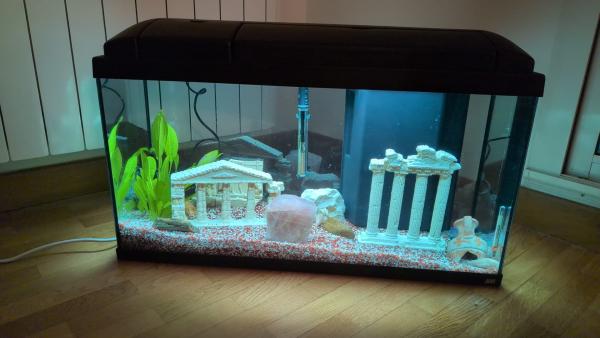Aquarium rena 90 L