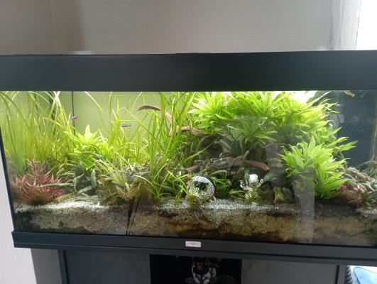Recherche poissons eau chaude
