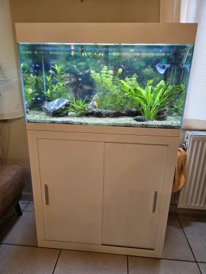 Aquarium complet 128 l