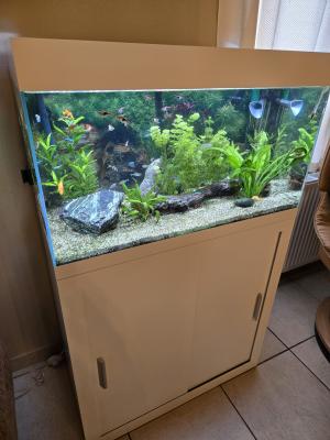 Aquarium complet 128 l