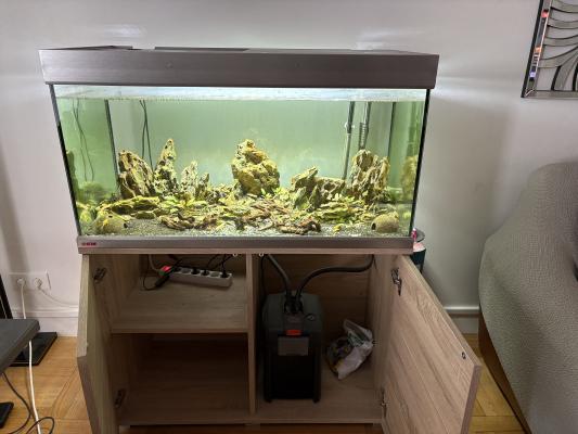 Aquarium 250 litres Eheim PROXIMA avec meuble en bois