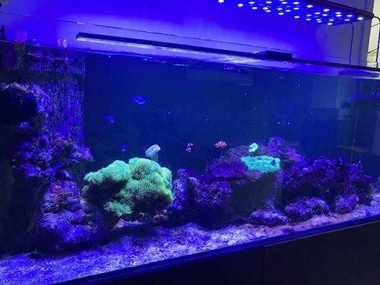 aquarimu complet eau de mer 400 L