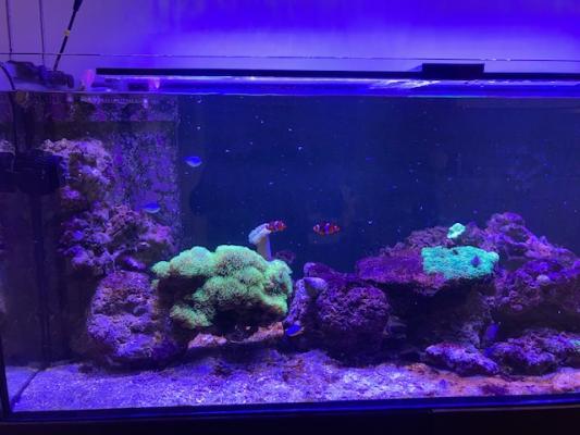 aquarimu complet eau de mer 400 L