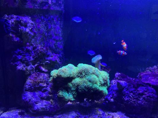 aquarimu complet eau de mer 400 L