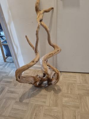Aquarium avec plusieurs accessoires