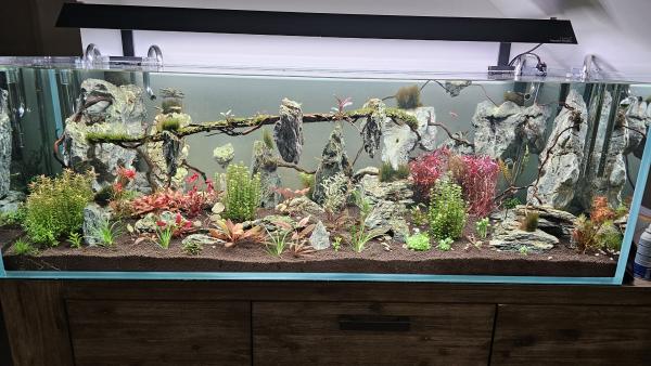 Aquarium 375L optiwhite