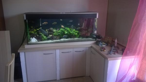 aquarium 450 litres