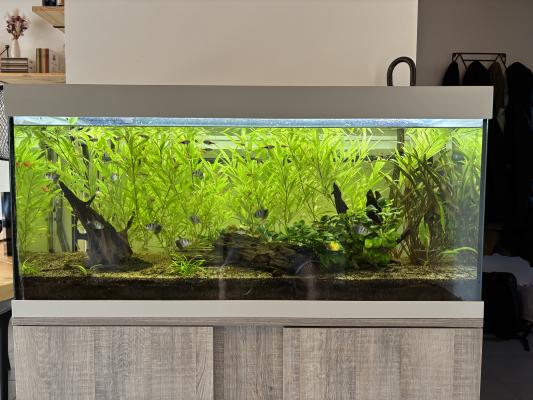 Aquarium 180L + pompe