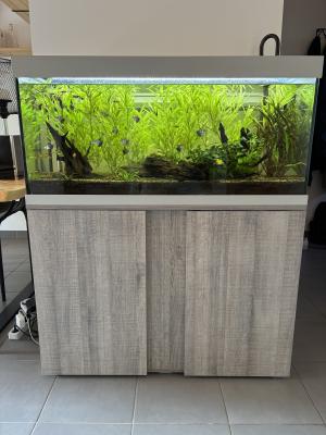 Aquarium 180L + pompe