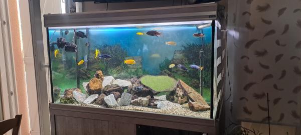 Aquarium avec meuble
