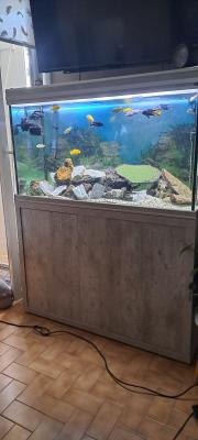 Aquarium avec meuble
