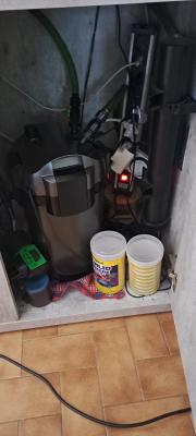 Aquarium avec meuble