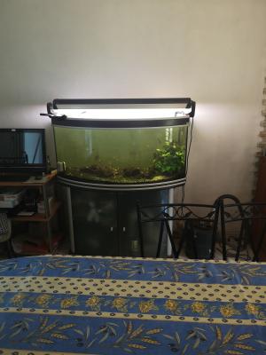 Aquarium 180 l avec meuble et poissons guppy, environ 100