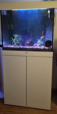 Aquarium juwel