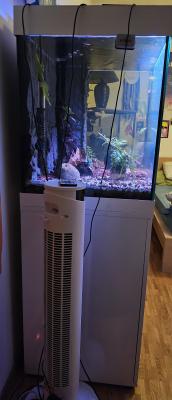 Aquarium juwel