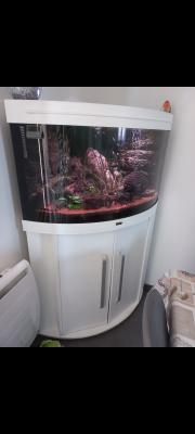 Aquarium angle juwel trigon 190 L