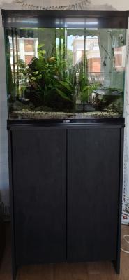 Aquarium ciano