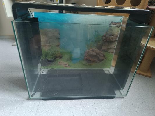 Aquarium superfish 80l