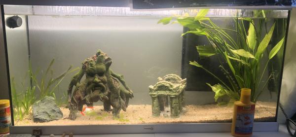 Auqarium 120L+ meuble
