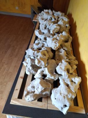 Aquarium 425 l pour Malawi