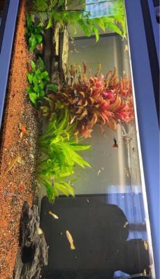 Aquarium Aquatlantis