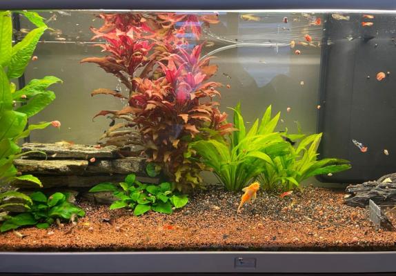 Aquarium Aquatlantis