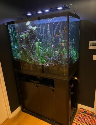 Donne aquarium 550l + meuble