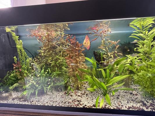 Aquarium 400 litres