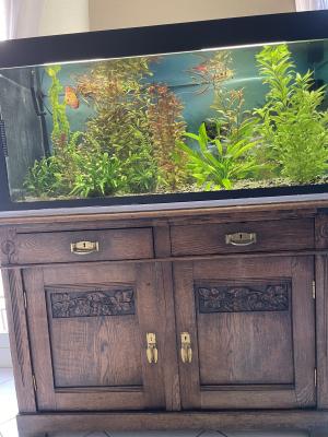 Aquarium 400 litres