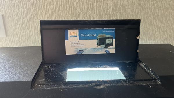 aquarium 60 L TOUT équipé avec deux poissons
