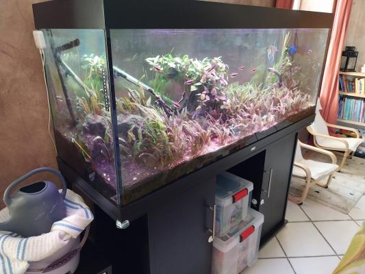 Aquarium 450 L complet