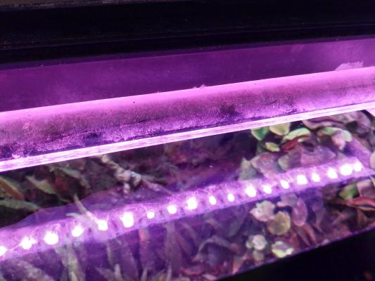 Aquarium 450 L complet