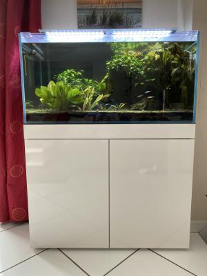 Aquarium 250L complet
