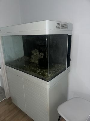 Aquarium redsea