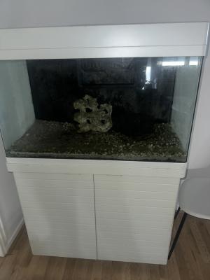 Aquarium redsea