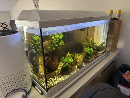 Aquarium complet et accessoires
