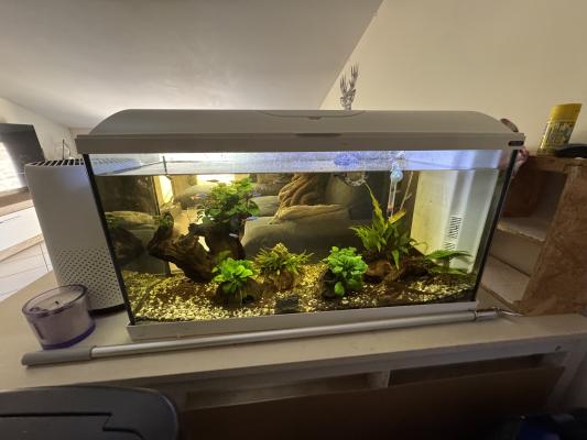 Aquarium complet et accessoires