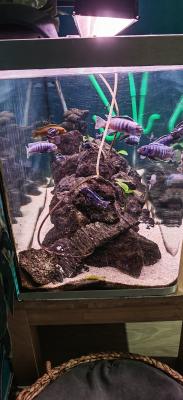 Aquarium 360l complet